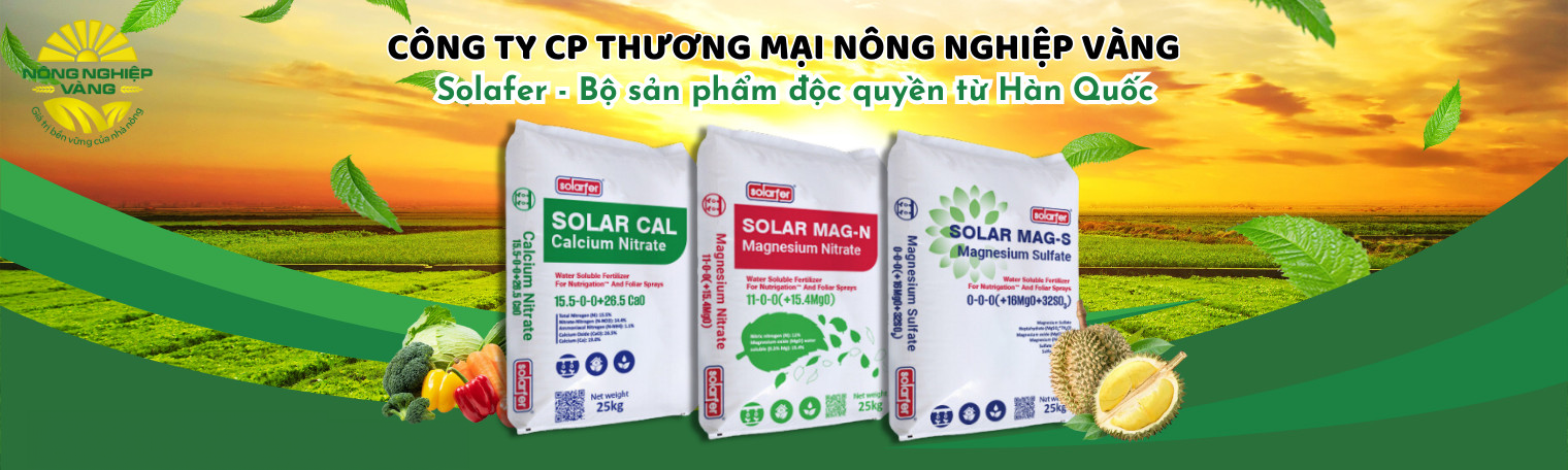 HỆ THỐNG VÀ PHƯƠNG PHÁP PHÂN TÍCH DỮ LIỆU 1
