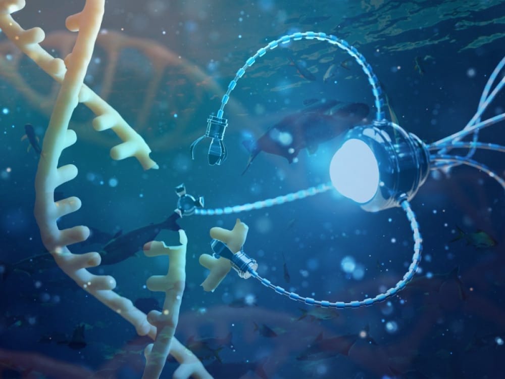 Phòng và Điều trị bệnh cho thuỷ sản