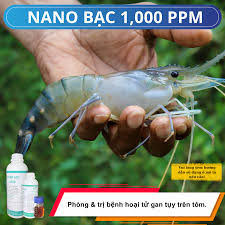 Phòng và Điều trị bệnh cho thuỷ sản